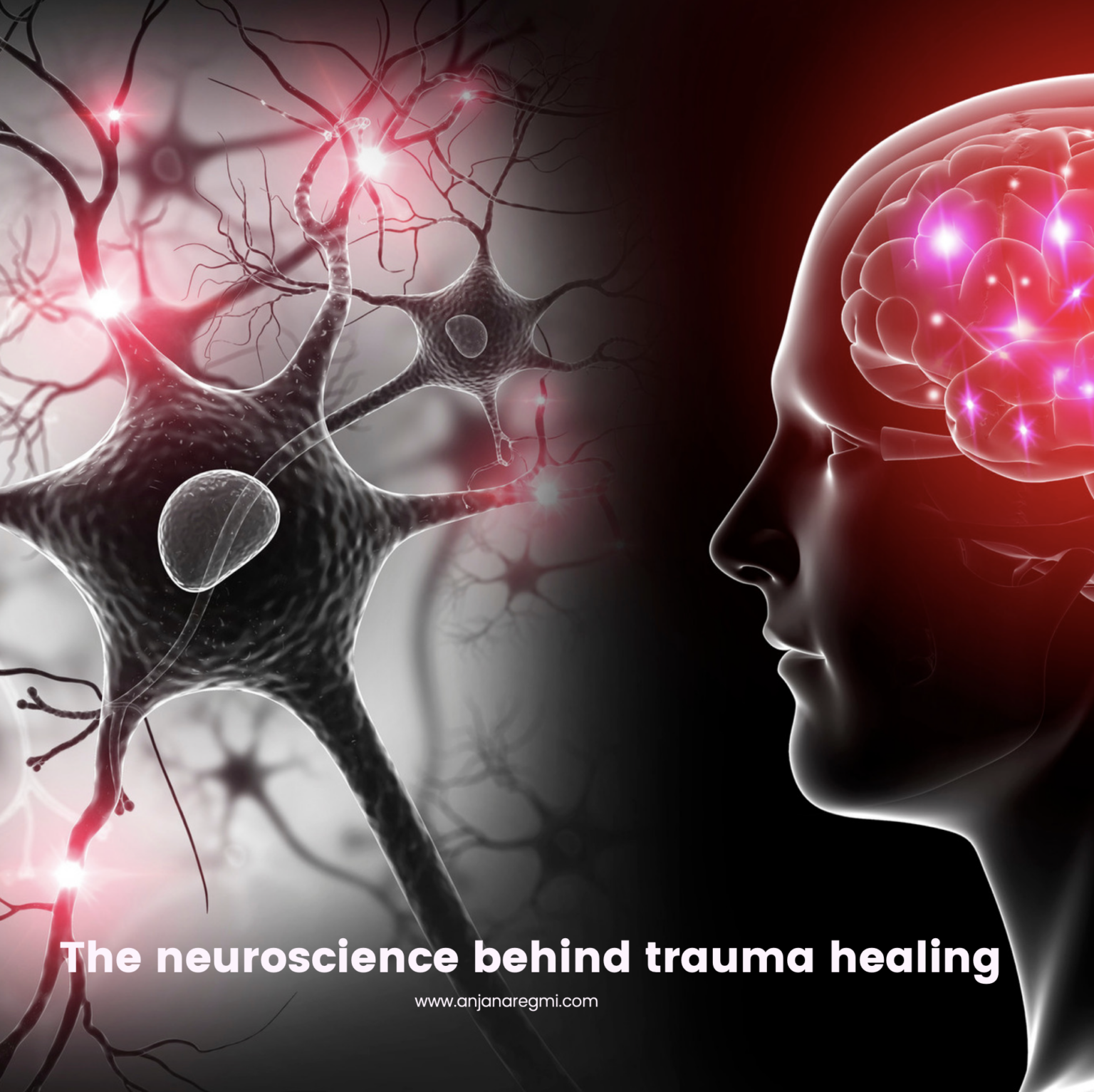 Understanding the neuroscience behind trauma healing #2115 - Anjana Regmi